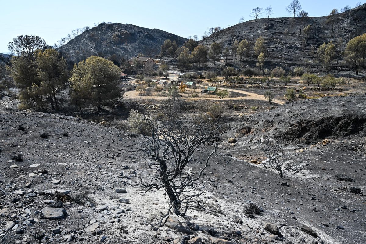 El incendio forestal en el sureste de España ha afectado ya a 6.600 hectáreas