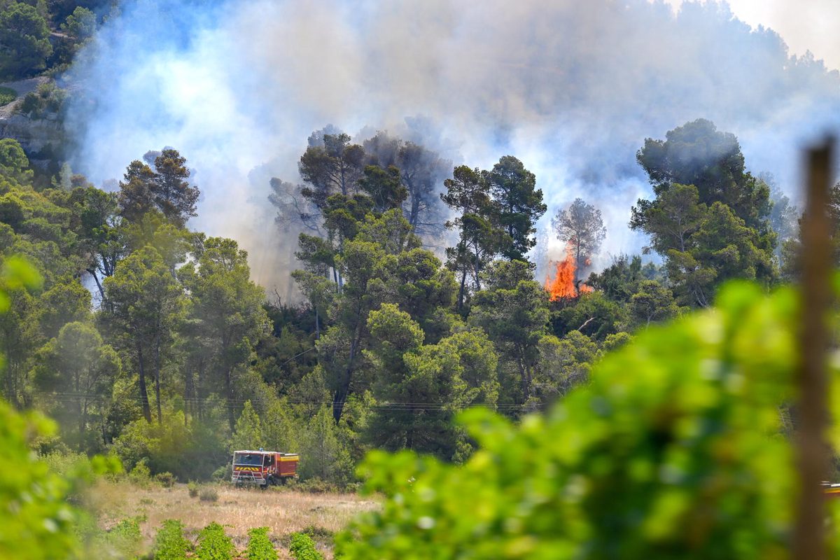 Más de 25.000 hectáreas calcinadas en Francia en lo que va de año, el doble que en 2025