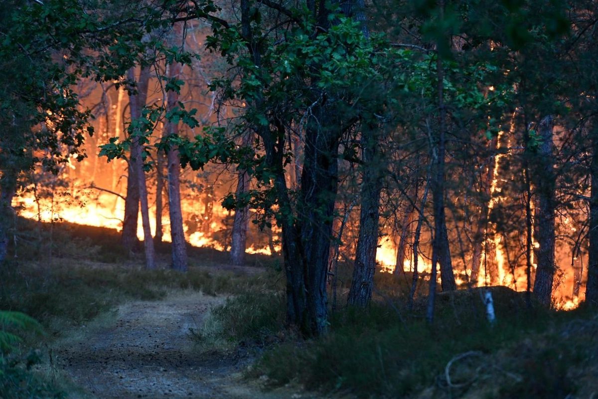 El 5 % del bosque de Fontainebleau ha ardido y se ha detectado un nuevo foco de llamas