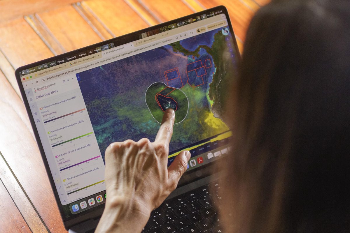 La tecnología satelital, los ojos que ayudan a conservar el océano en Latinoamérica