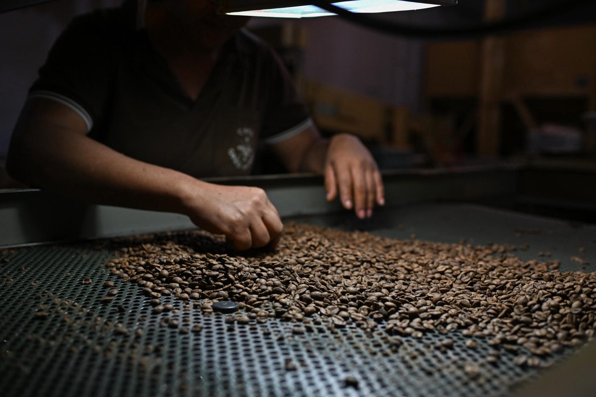 Carne, café y tierras raras, entre las excepciones al arancel del 25 % de EE.UU. a Brasil
