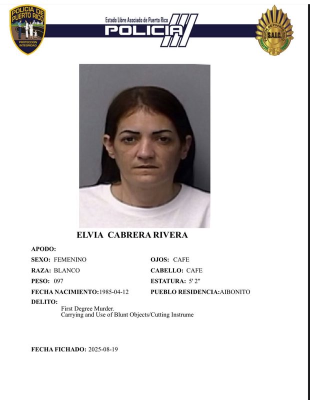 “Lela, levántate”: impactantes declaraciones en el vigésimo día de juicio contra Elvia Cabrera