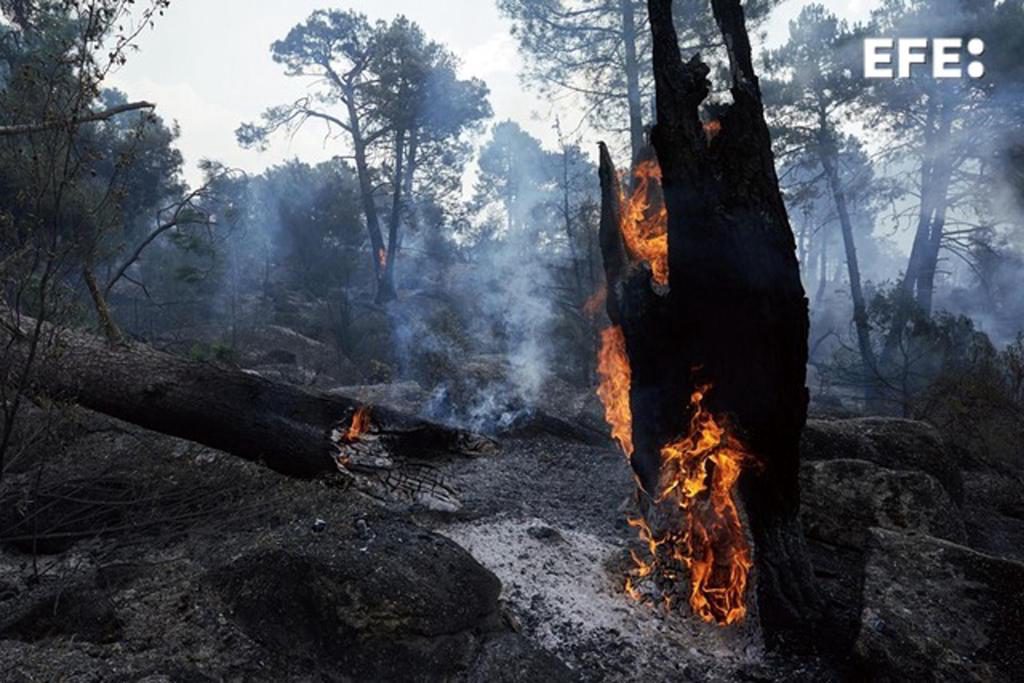 España recibe apoyo de Portugal, Grecia e Italia para hacer frente a los incendios