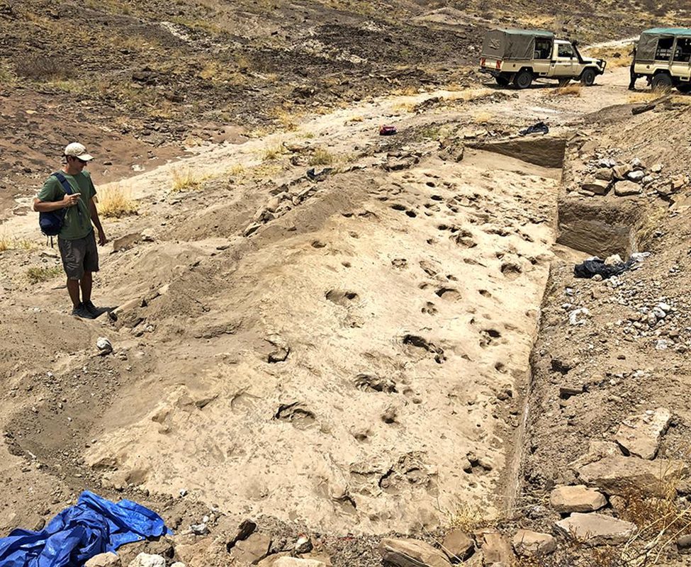 Los parientes de los humanos hace 1,4 millones de años, más grandes de lo que se pensaba