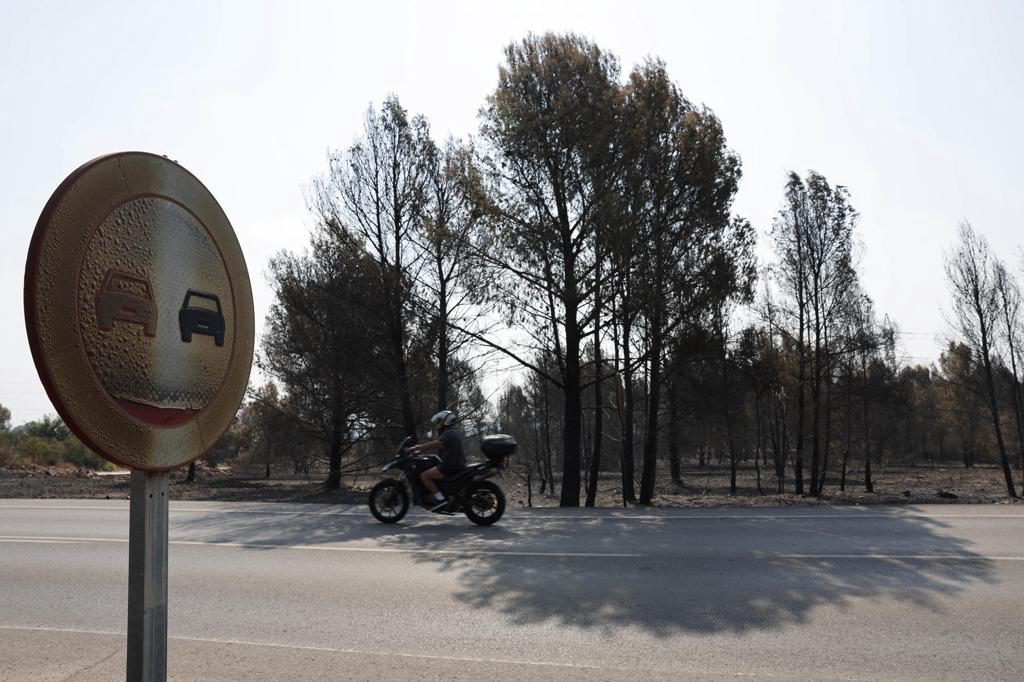 La OMM: el cambio climático aumenta el riesgo de incendios, aunque no sea el único factor