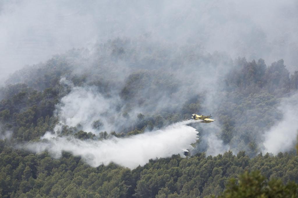 Evolución favorable de los grandes incendios de Madrid y Ávila, según el Gobierno español