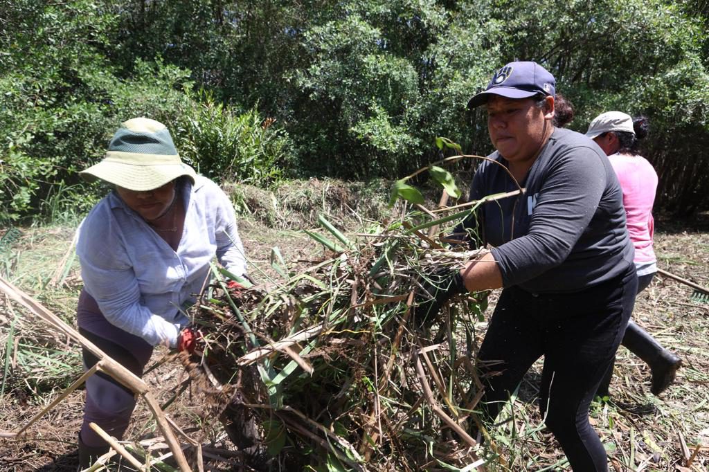 Mujeres lideran la restauración y protección de una zona manglar en El Salvador