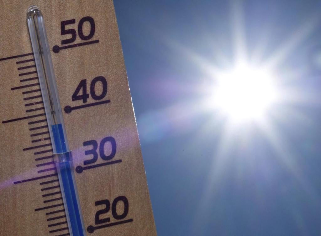 Alemania estima en 9.800 las muertes relacionadas con el calor hasta el 19 de julio