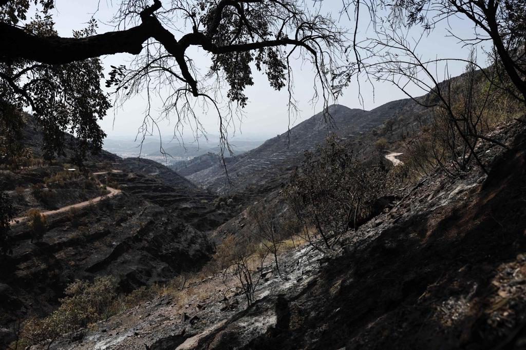 Baja la emergencia de los grandes incendios del centro de España