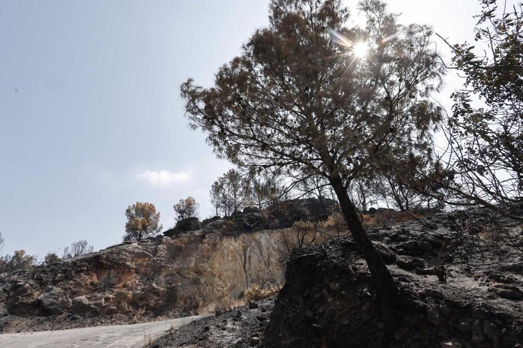 Los incendios arrasan un 32 % más de superficie forestal en la UE que hace un año