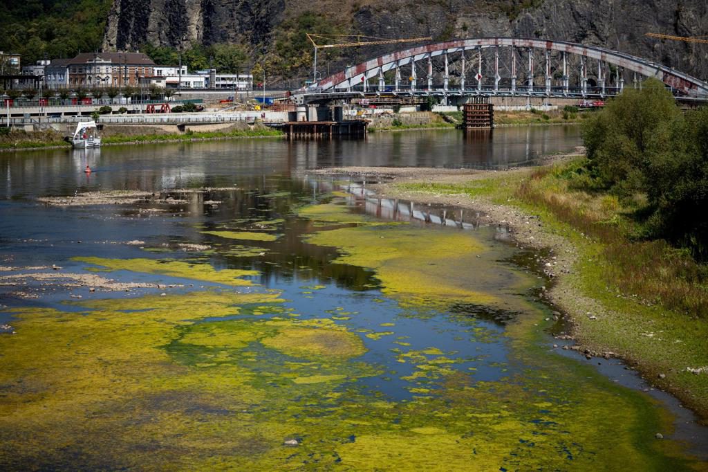 Chequia registra sequía en la mitad de sus estaciones hidrológicas