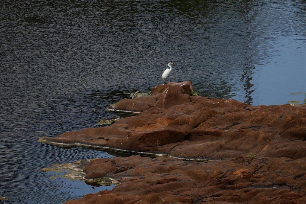 Alcalde de Toa Alta pide limitar uso de lanchas en La Plata por sequía en el embalse
