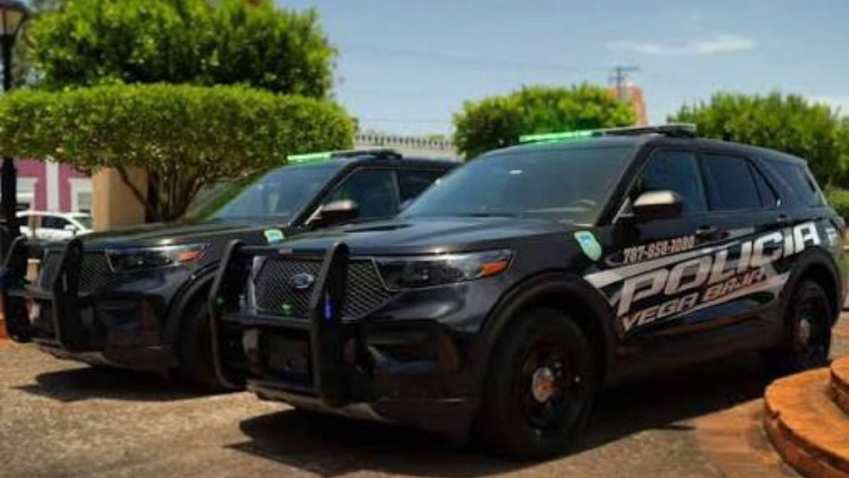 Dos individuos escalaron y robaron ferretería en Vega Baja