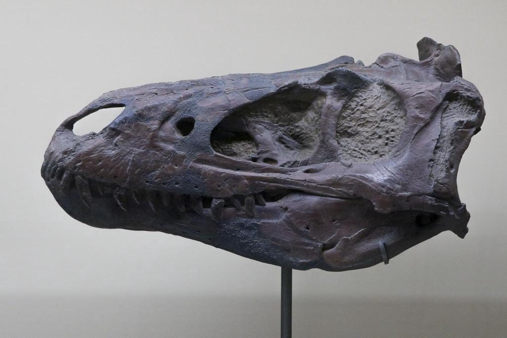 París viaja 140 millones de años atrás para mostrar los dinosaurios que habitaban el país