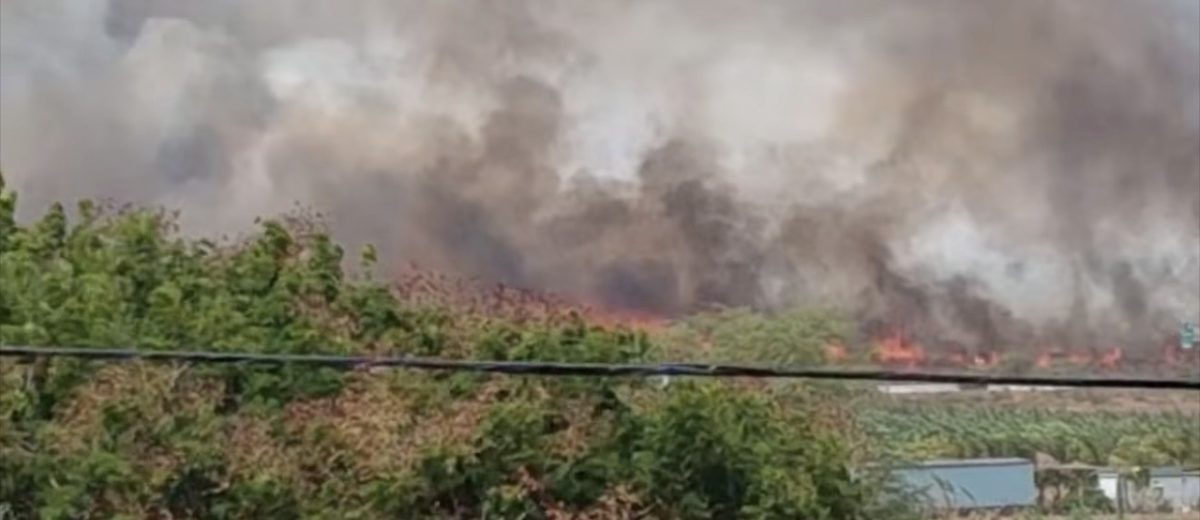 Fuego forestal en Guánica es atendido con ayuda de estatales
