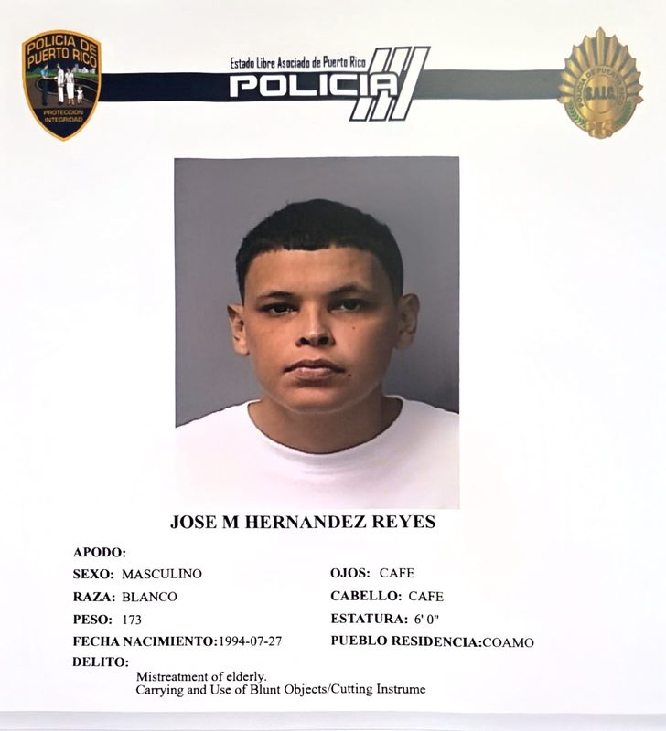 Detienen a individuo por violación a ley de armas y maltrato en Coamo