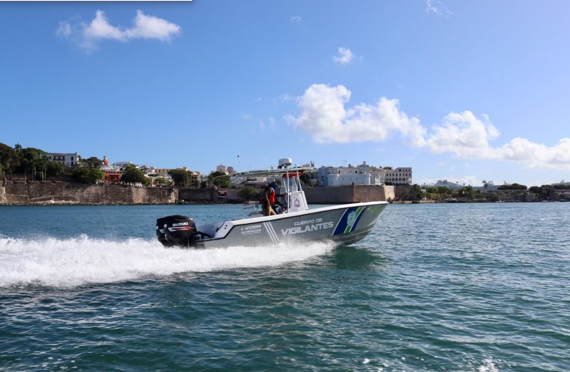 DRNA inicia operativo para rescatar delfín con máscara de buceo incrustada