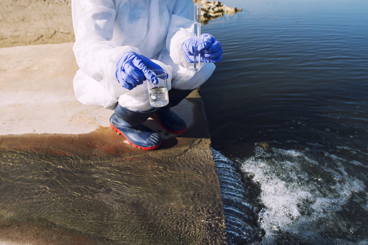 Planta de carne enfrenta cargos por verter sangre y excrementos al mar