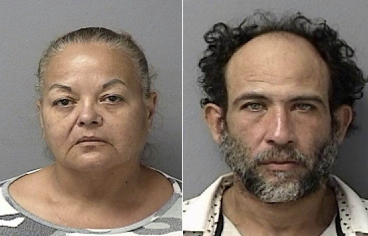 Detienen pareja por apropiación y daño agravado en Arecibo