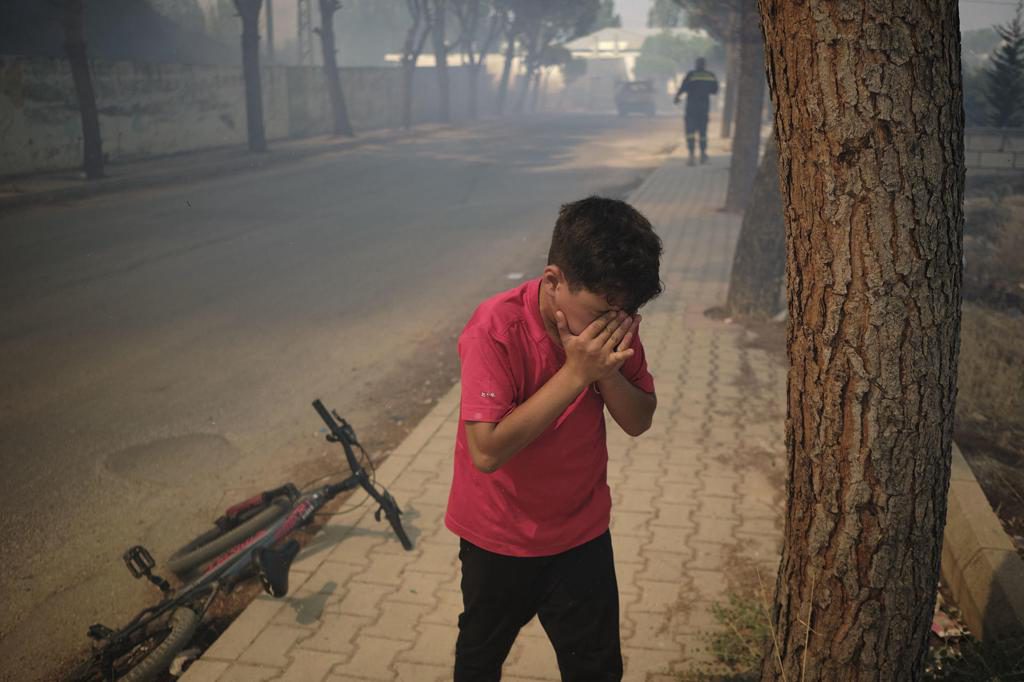 Los bosques del Líbano también sufren el fuego israelí