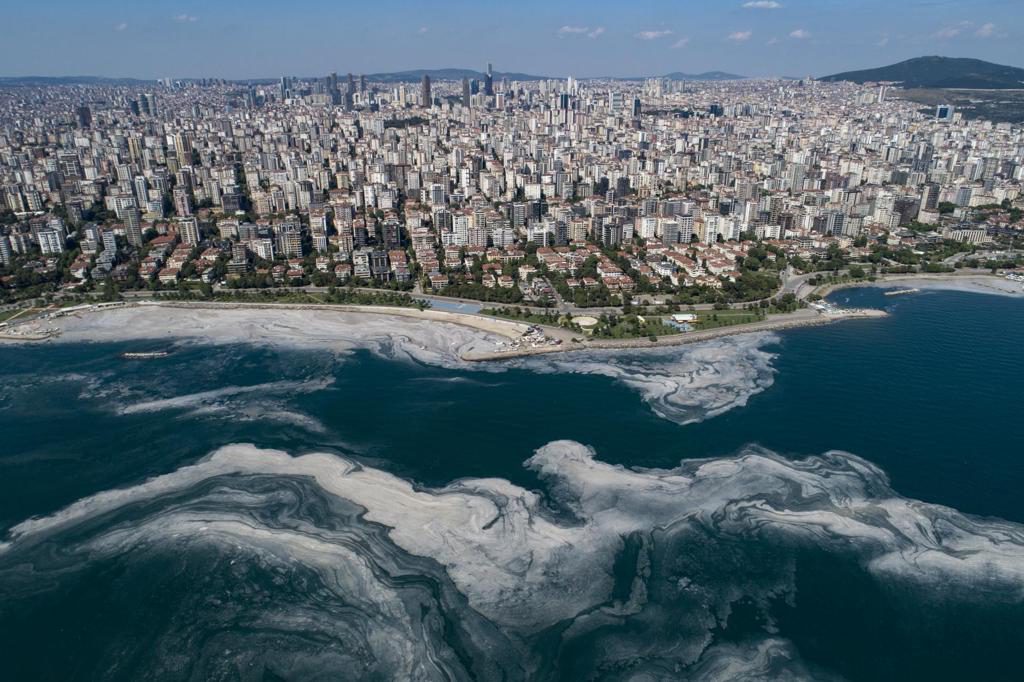 El cambio climático provoca altas temperaturas oceánicas sin precedentes en Europa