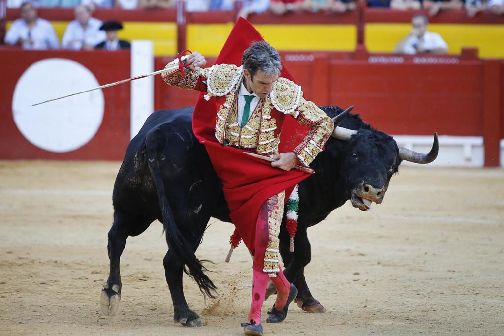 Hoy, José Tomás celebra su cumpleaños