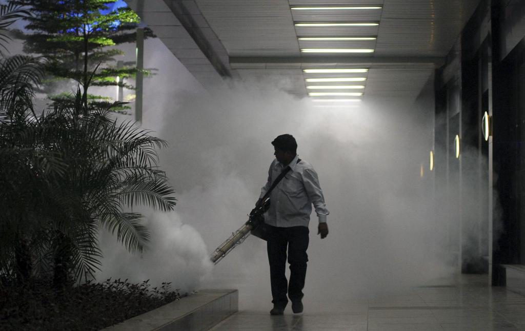 El ambiente y la especie de mosquito determinan la circulación de la malaria