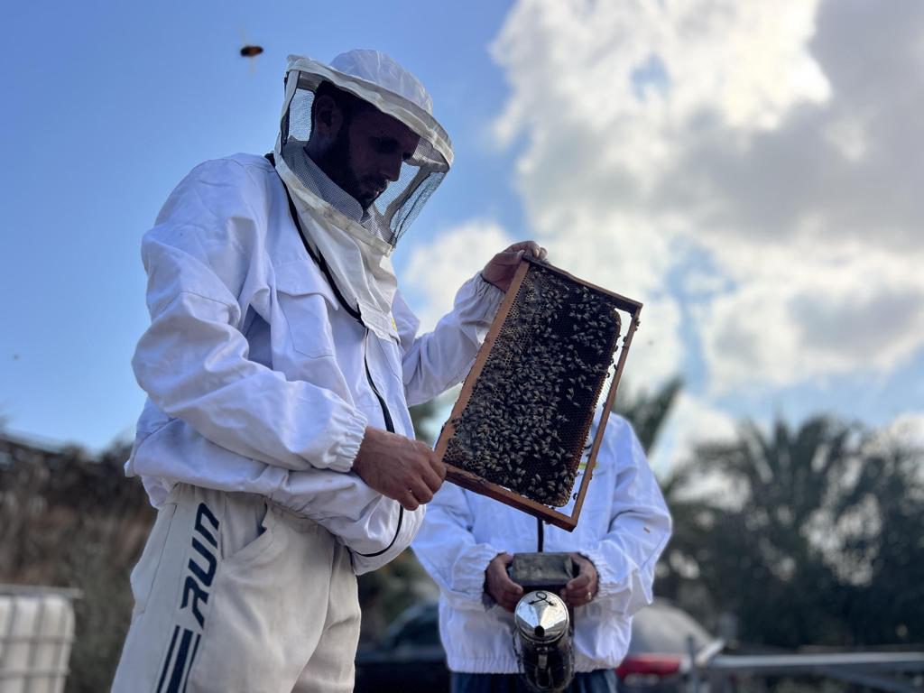 La lucha de un apicultor gazatí para salvar a sus abejas: «Se fueron; no hay árboles»
