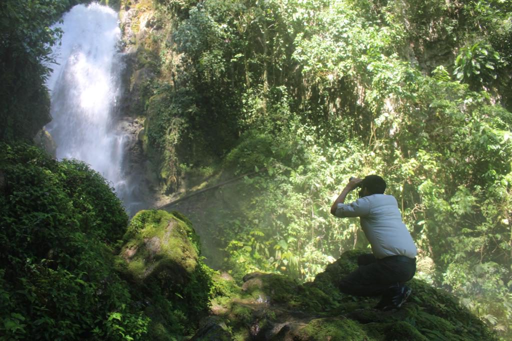 Perú perdió 3,7 millones de hectáreas de vegetación natural desde 1985, señala MapBiomas
