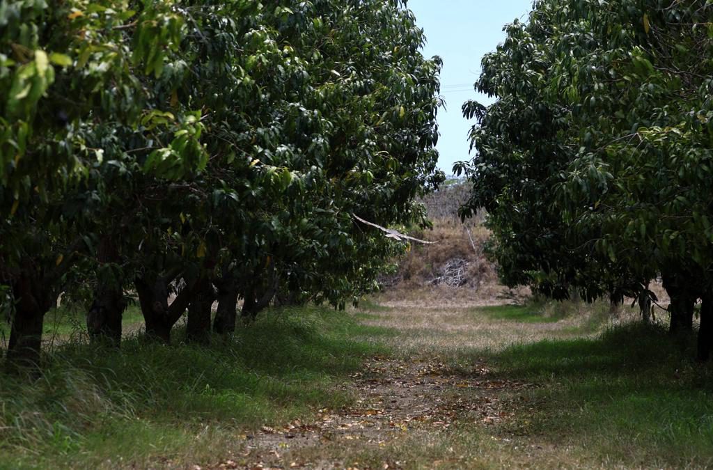 Agricultura informa de ayudas federales disponibles para productores afectados por sequía