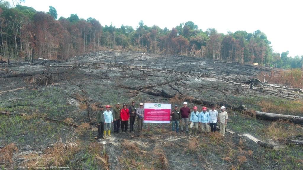 Indonesia sanciona a seis compañías por los incendios agrícolas en la isla de Borneo