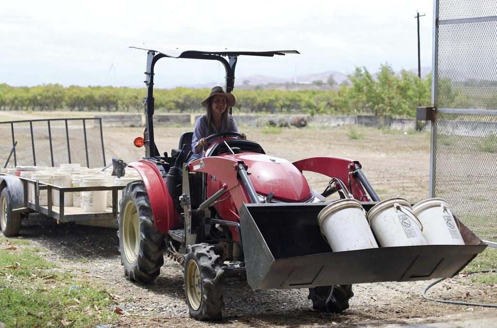 Aprueban declaración de desastre por sequía para la agricultura en Puerto Rico