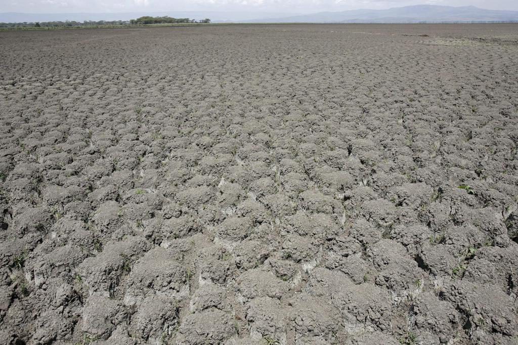 La COP17 cierra sin pacto de sequía, pero moviliza 1.300 millones de dólares