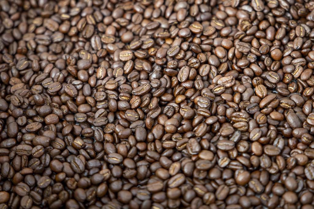 Productores de café piden a DACO revisar el precio mínimo por almud de café