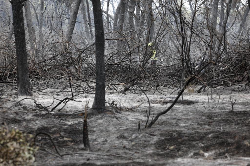 El fuego arrasó 647.375 hectáreas en la UE hasta septiembre, un 35 % menos que en 2025