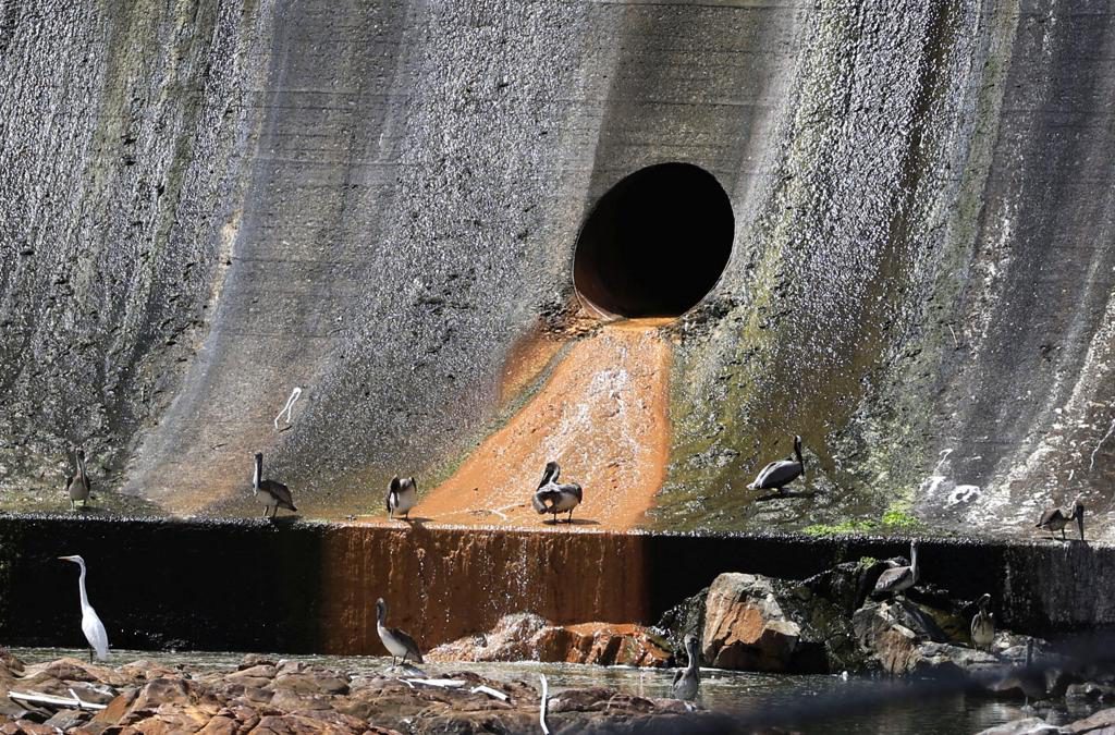 Autorizan la remoción del sedimento en el embalse Carraízo