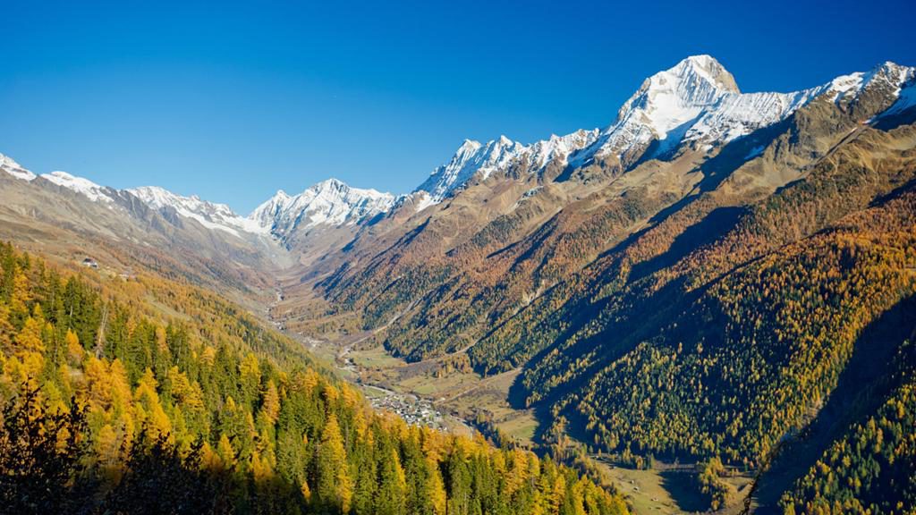 Un estudio cuestiona que el calentamiento aumente la capacidad del bosque para captar CO2