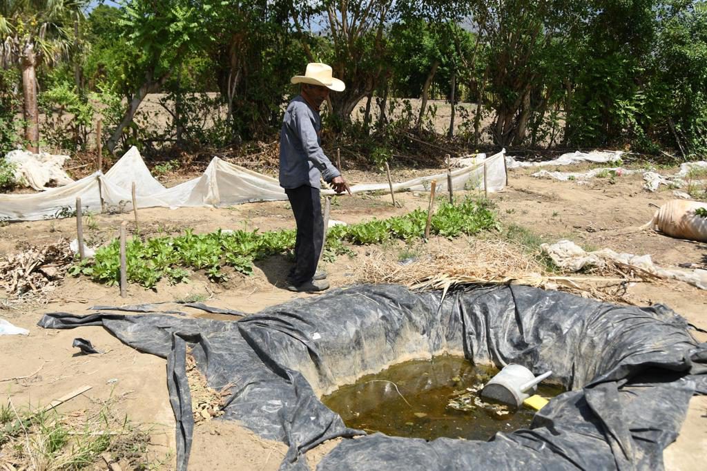 La sequía en Guatemala destruye cultivos y empuja a los campesinos a la supervivencia