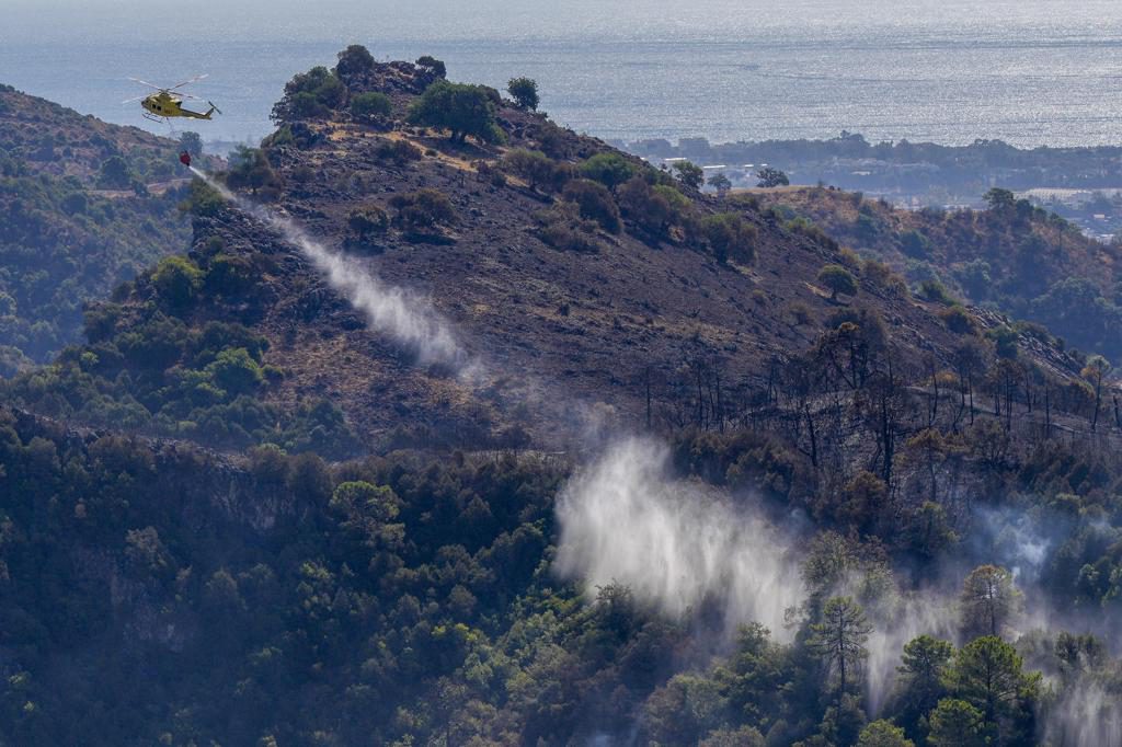 Controlado el incendio forestal declarado el domingo en Benahavís (Málaga)