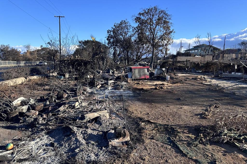 Detectan metales tóxicos en personas que inhalaron humo de incendios forestales en Hawái