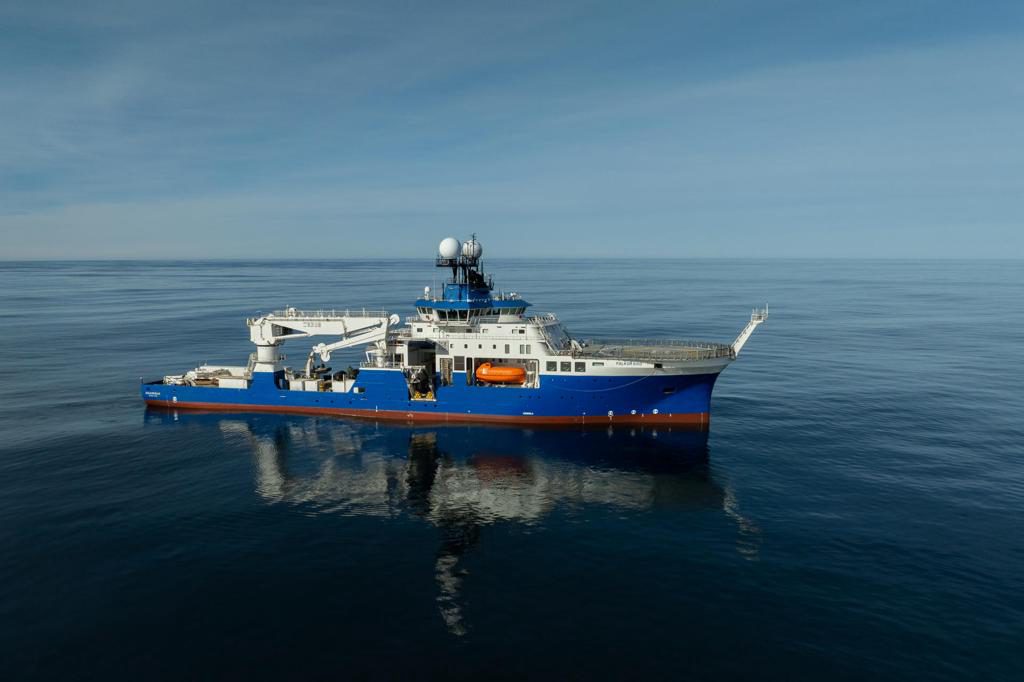 La expedición submarina en Argentina que causó furor mundial descubre 57 nuevas especies