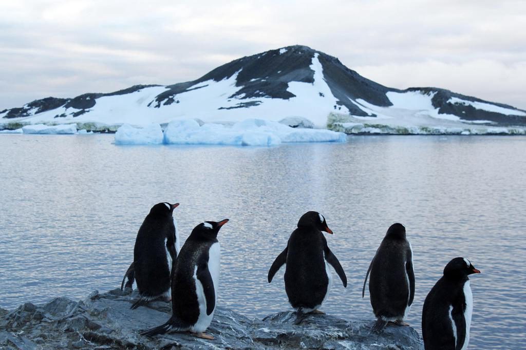 Antarctica 2030 insta a los gobiernos a fijar una gran área de protección en la Antártida