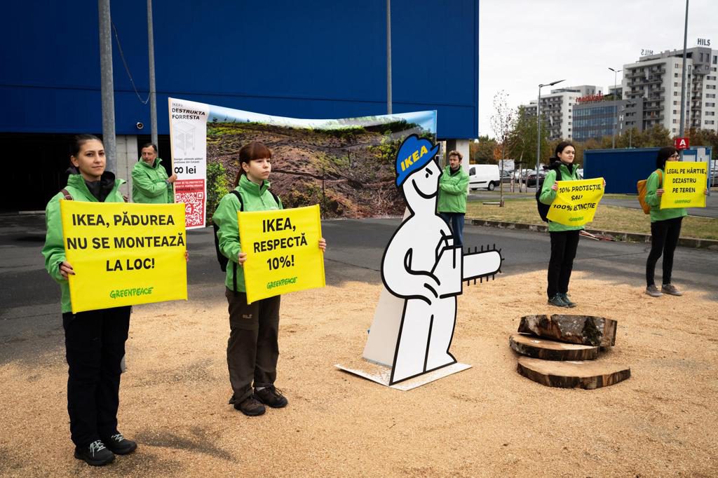 Ecologistas acusan a Ikea de deforestar los Cárpatos pese a sus promesas de sostenibilidad