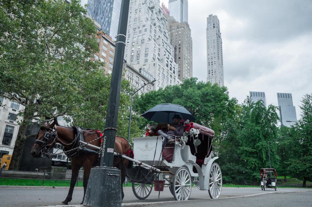 Nueva York decide mañana si veta los carruajes de caballos tras accidente mortal